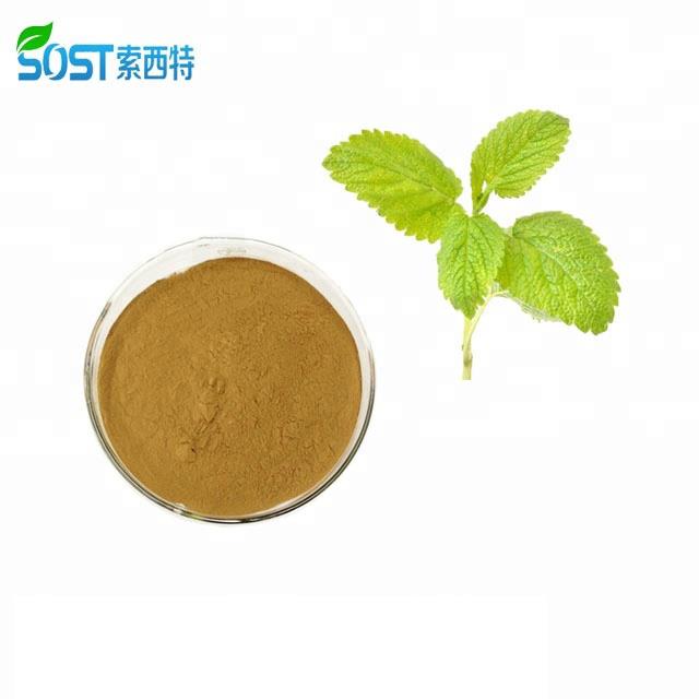ISO-Certificate-Powdered-Lemon-Balm-Extract ISO-Certificate-Powdered-Lemon-Balm-Extract