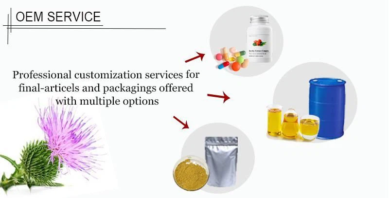 201911081720559753756