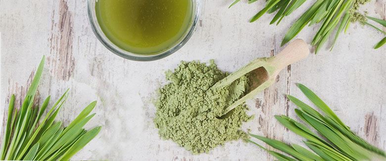 barley-grass1 barley-grass1