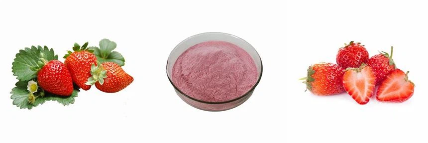 Strawberry Fruit Juice Powder