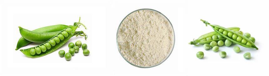 product-1-1 src=http___5b0988e595225.cdn.sohucs.com_q_70,c_zoom,w_640_images_20190402_3c81225444244cf3bfa56df854066b18.jpeg&refer=http___5b0988e595225.cdn.sohucs