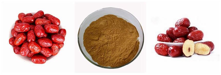 Jujube Extract Powder Jujube Extract Powder