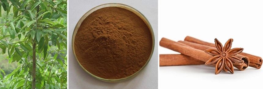 Cinnamon Extract Cinnamon Extract