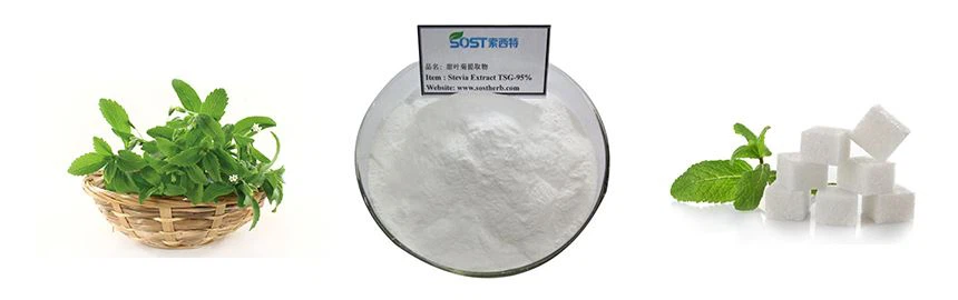 Stevia Extract Powder Stevia Extract Powder