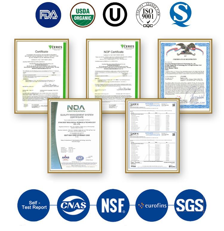 certificate certificate