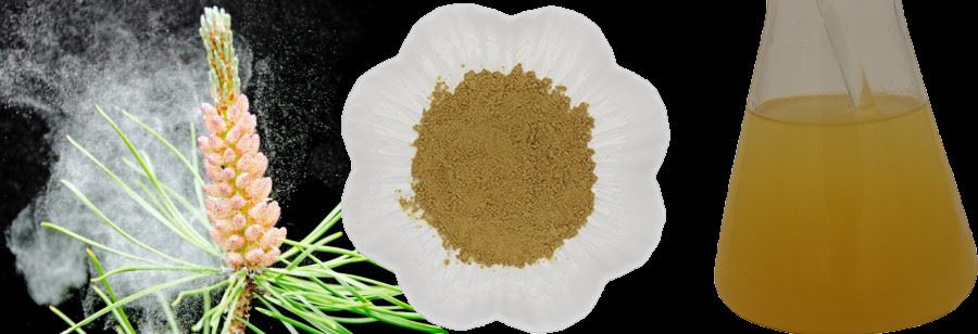 Pine Pollen Powder introduction