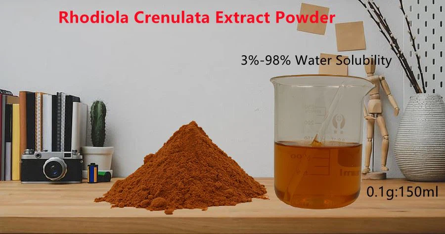 rhodiola extract powder solubility