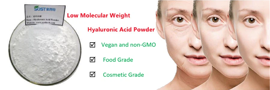 Low Molecular Weight Hyaluronic Acid Powder