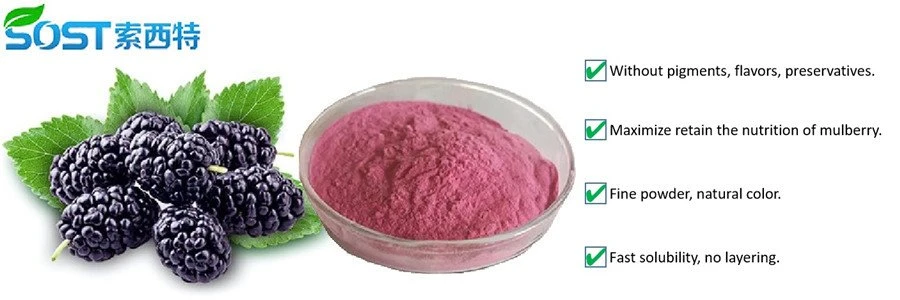 product-900-300 Mulberry Fruit Powder product