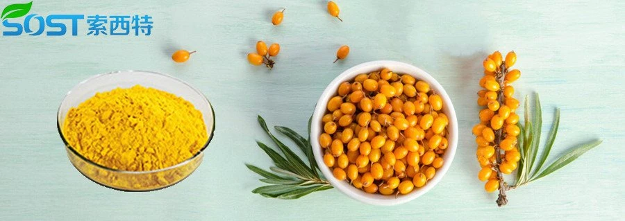 product-900-319 Sea buckthorn