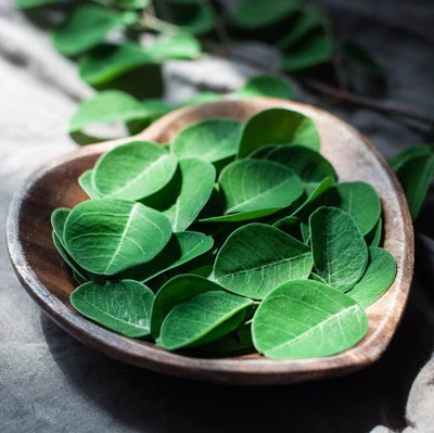 Moringa leaf