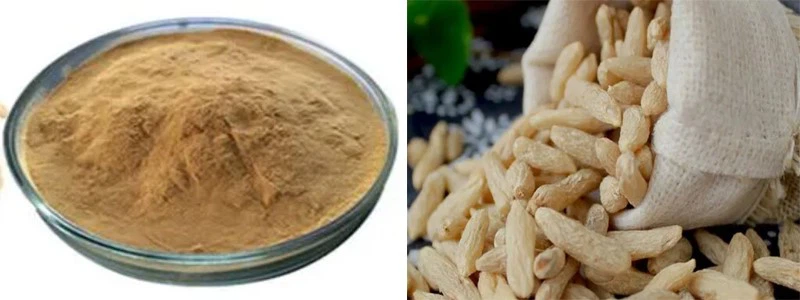 Ophiopogonis extract Ophiopogonis extract