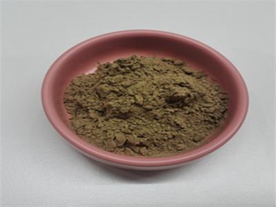 AjugaTurkestanicaExtractpowder