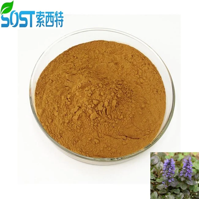 ajugaturkestanicaextract
