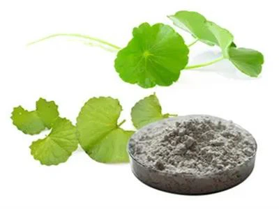 centella asiatica triterpenes