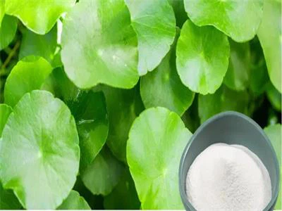 centella asiatica root extract