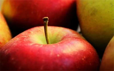 apple polyphenol extract apple polyphenol extract