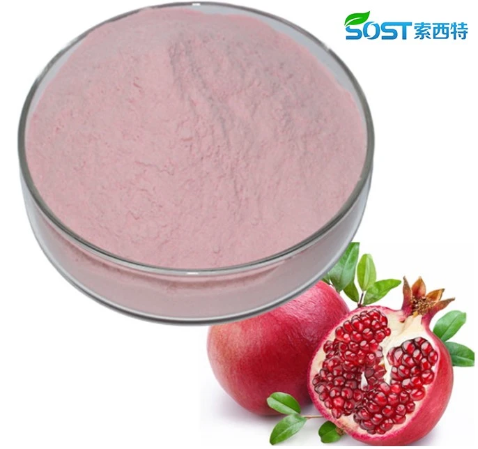 Pomegranate Extract Powder