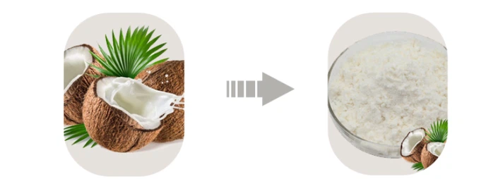 Coconut Cream Powder Coconut Cream Powder