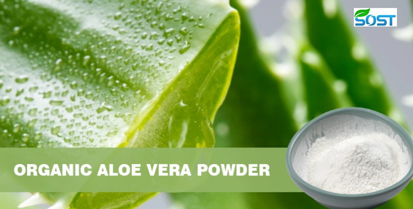 aloe vera freeze dried powder