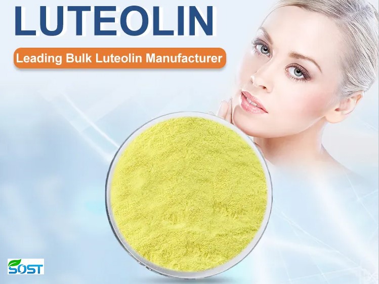 Luteolin Extract2