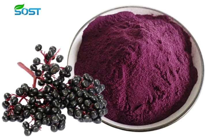 Black Elderberry Powder1 Black Elderberry Powder1