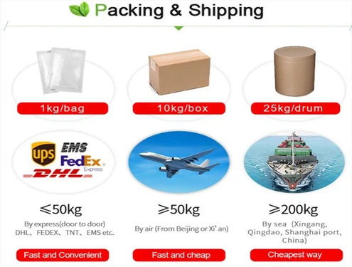PackageShipping PackageShipping