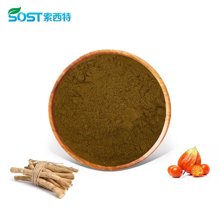 Ashwagandha Root Extract Powder factory