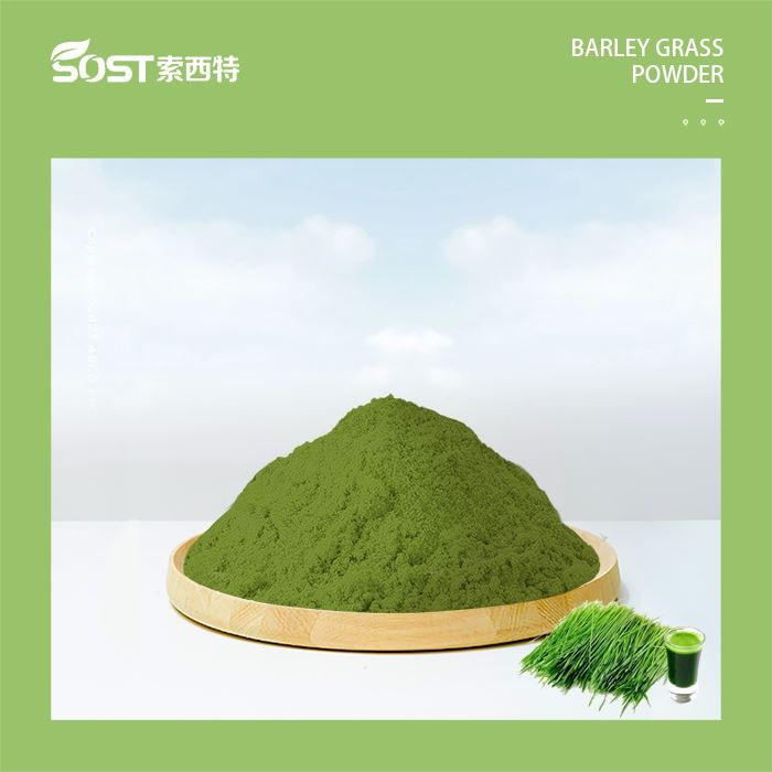 Barley Grass Juice Powder Artificial Planting