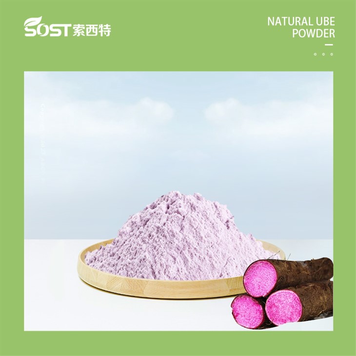 Best Ube Powder For Baking