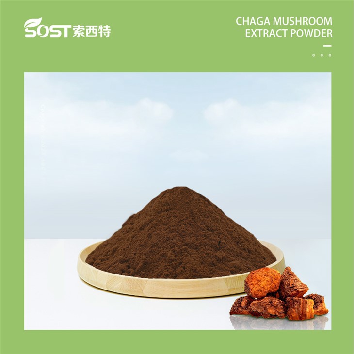 Chaga Extract,Chaga Mushroom Extract,Chaga Powder
