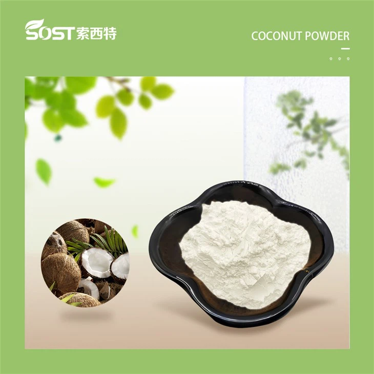 Instant Coconut Cream Powder