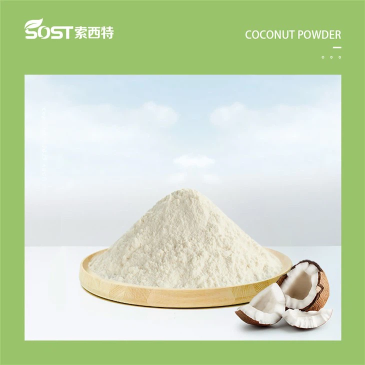 Dried Coconut Milk Powder