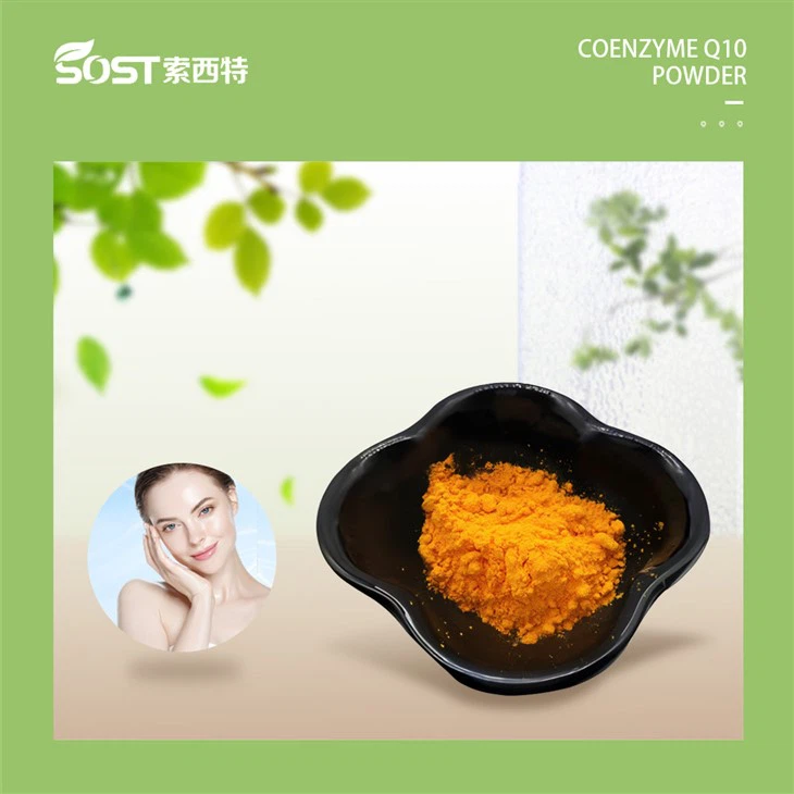 Coenzyme Q10 Bulk Powder