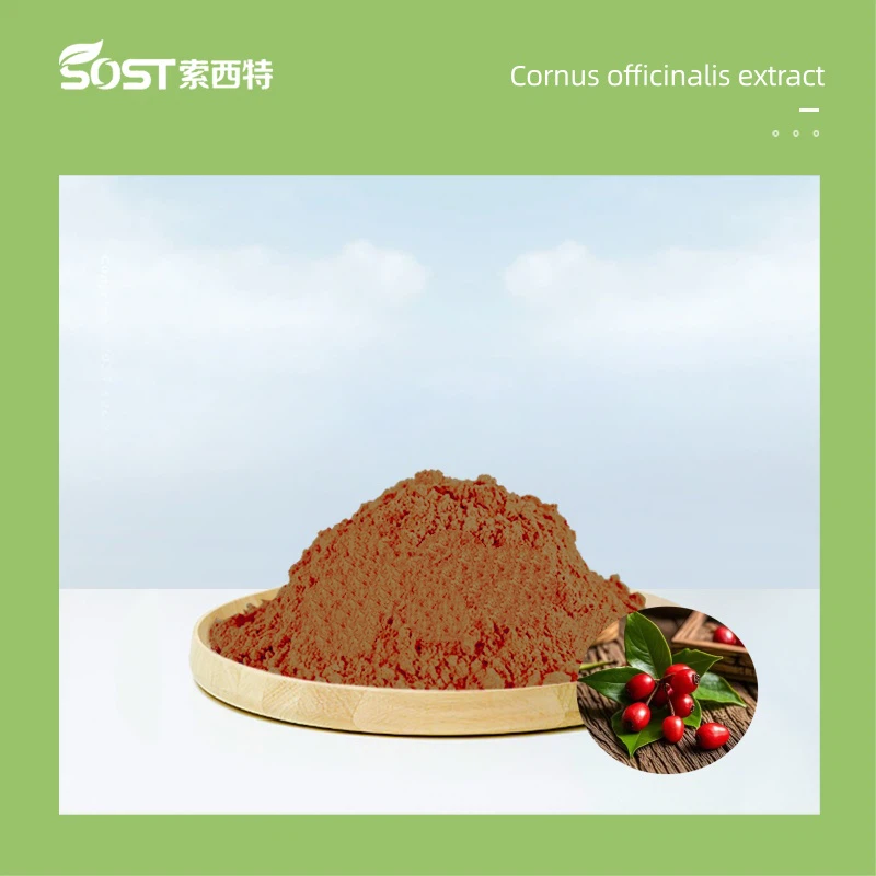 Cornus Officinalis Extract