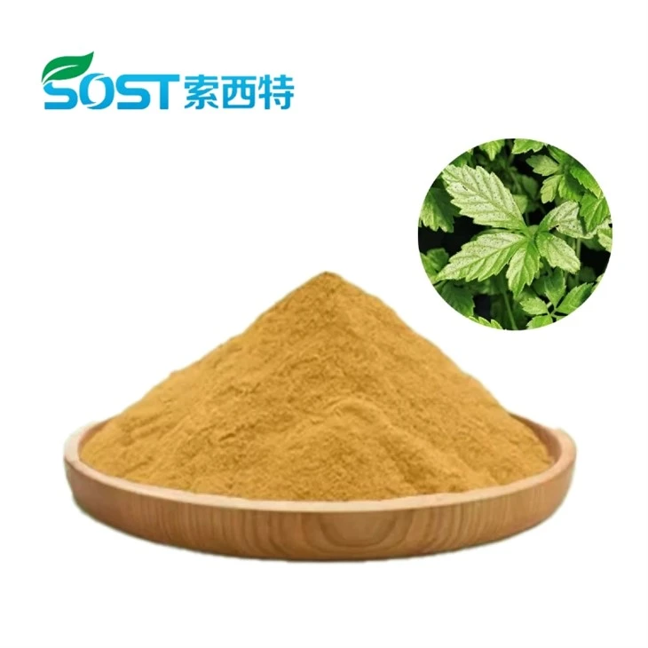 Gynostemma Pentaphyllum Extract