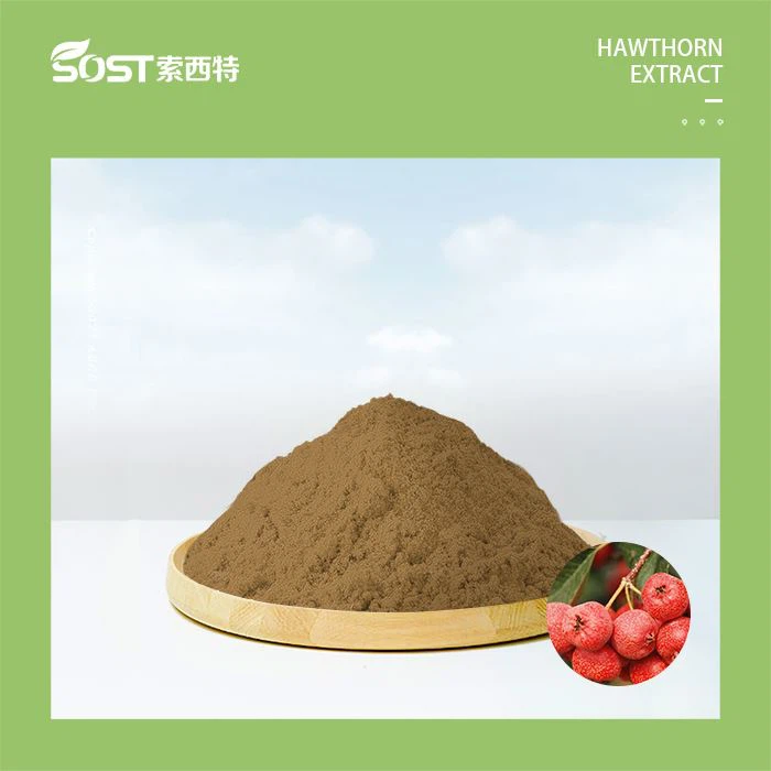 Hawthorn Berry Extract Powder