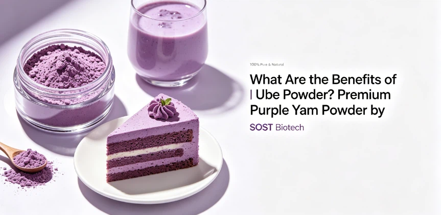 What are the benefits of Ube Powder3 What are the benefits of Ube Powder3