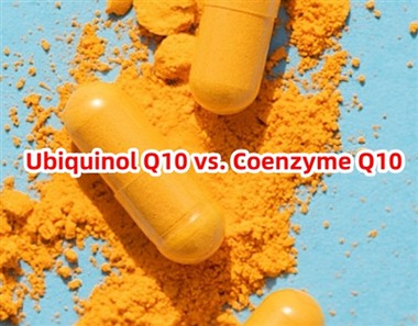 Ubiquinol Q10 vs. Coenzyme Q10