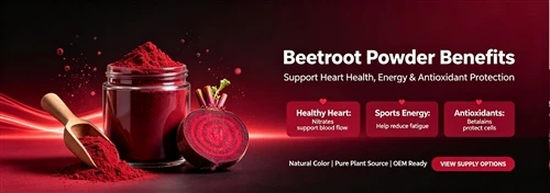 What Are The Benefits Of Taking Beetroot Powder?