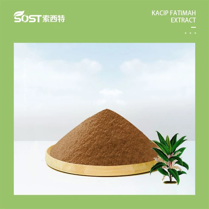 Kacip Fatimah Extract