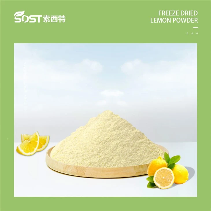 Freeze Dried Lemon Juice Powder