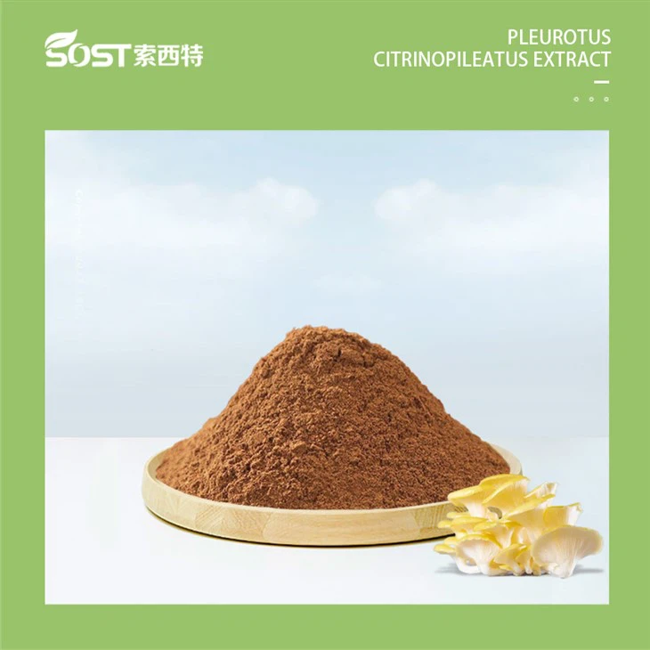 Natural L Ergothioneine Pleurotus cornucopiae Extract