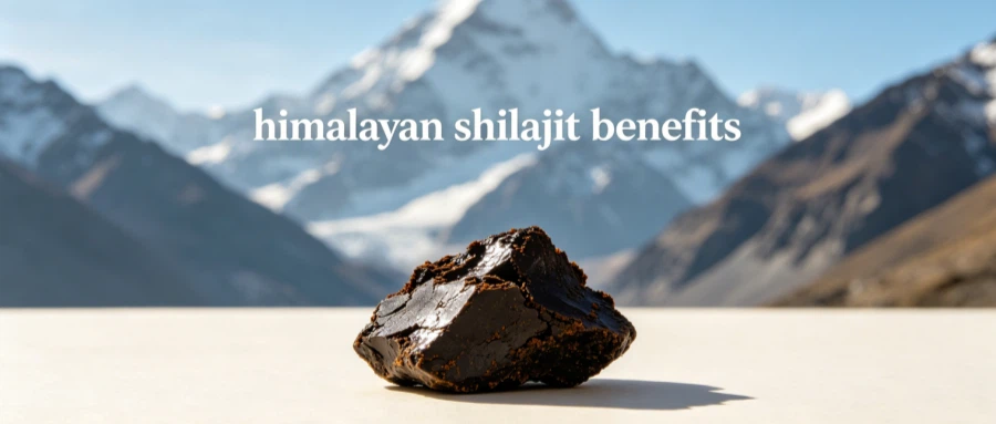 Himalayan Shilajit Benefits What It Does to Your Body Himalayan Shilajit Benefits What It Does to Your Body