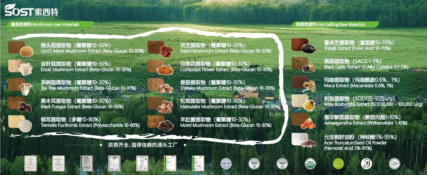 Mushroom Extrac Mushroom Extrac