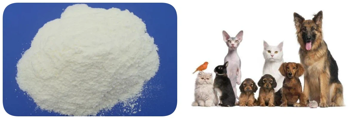 Fenbendazole powder Fenbendazole powder
