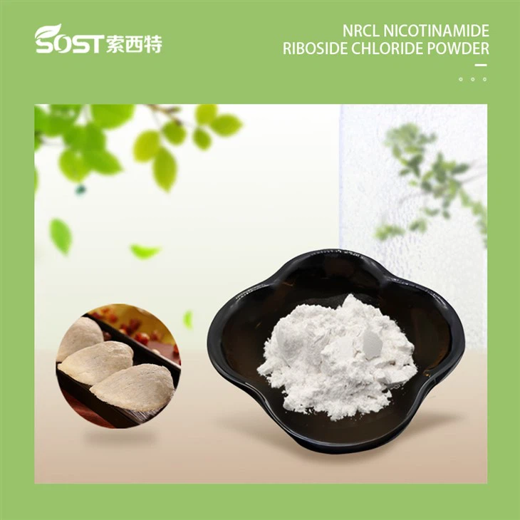 NR-CL Nicotinamide Riboside Chloride Powder
