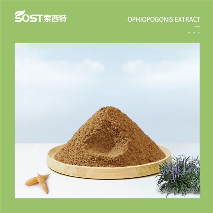 Ophiopogonis Extract