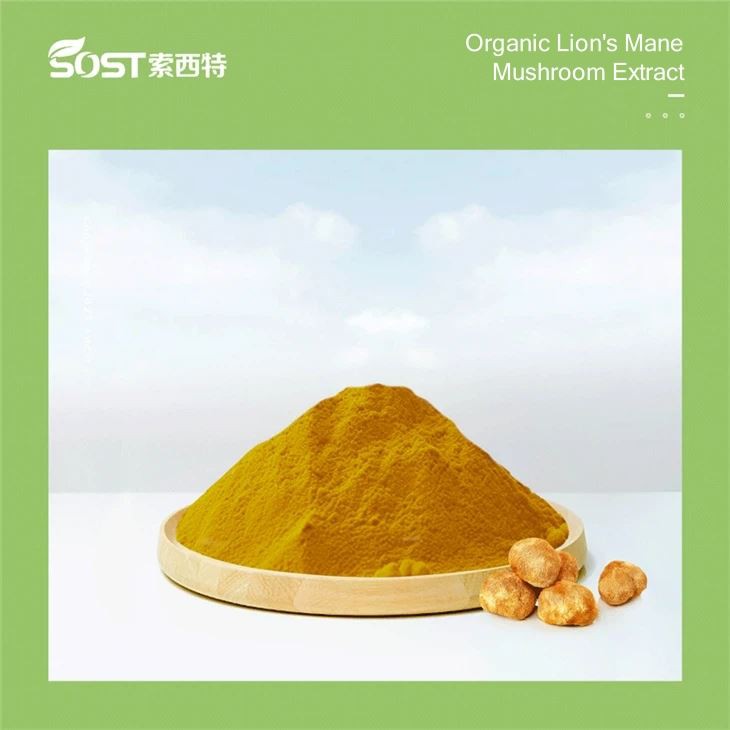 Organic Lion's Mane Mushroom Extract