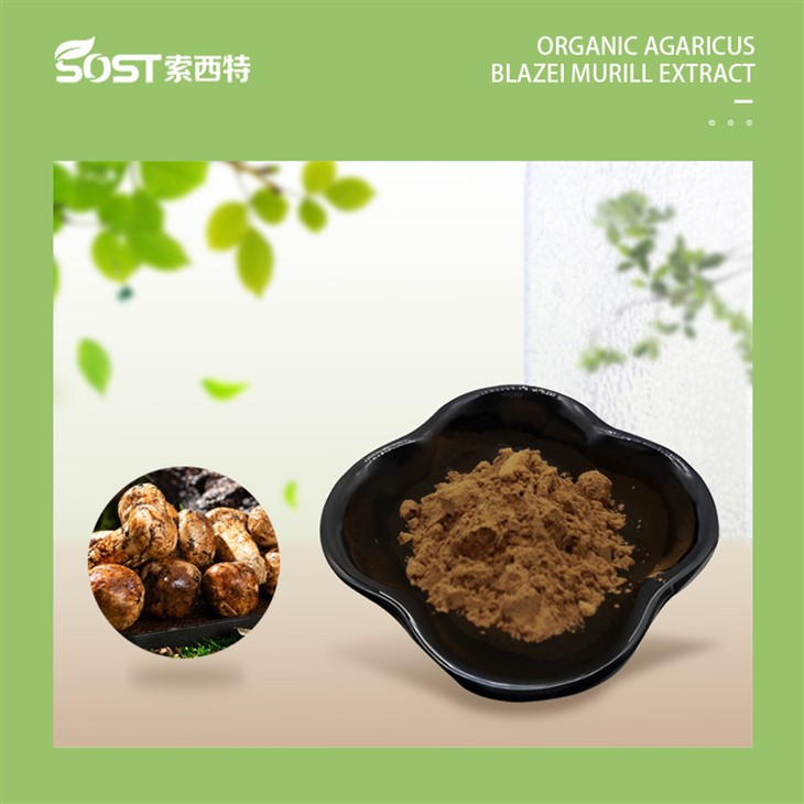 Organic Agaricus Blazei Murill Extract-1